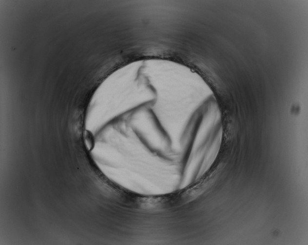 X0000100750273200807171419