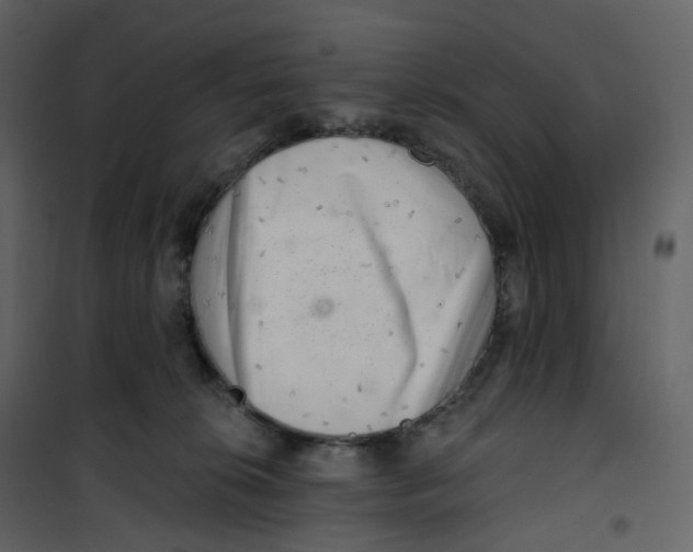 X0000100750276200807171419