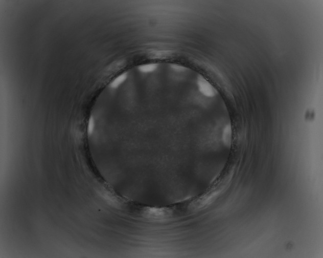 X0000100750277200807171419
