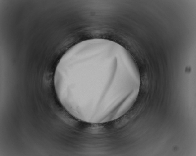 X0000100750278200807171419