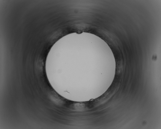 X0000100750279200807171419