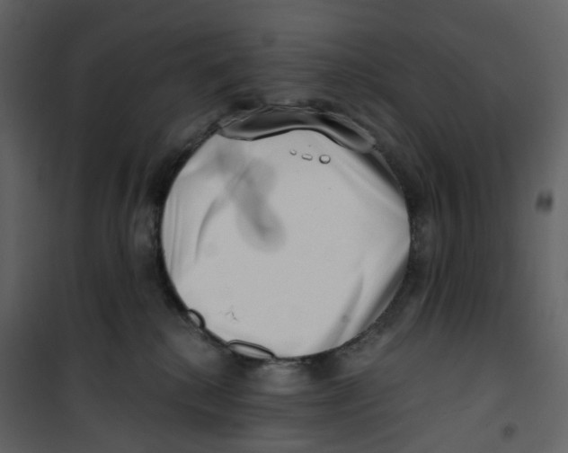 X0000100750280200807171419