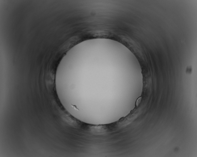 X0000100750281200807171419