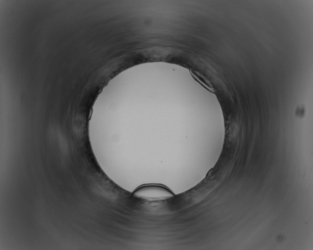 X0000100750283200807171419