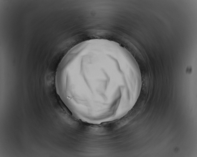 X0000100750284200807171419