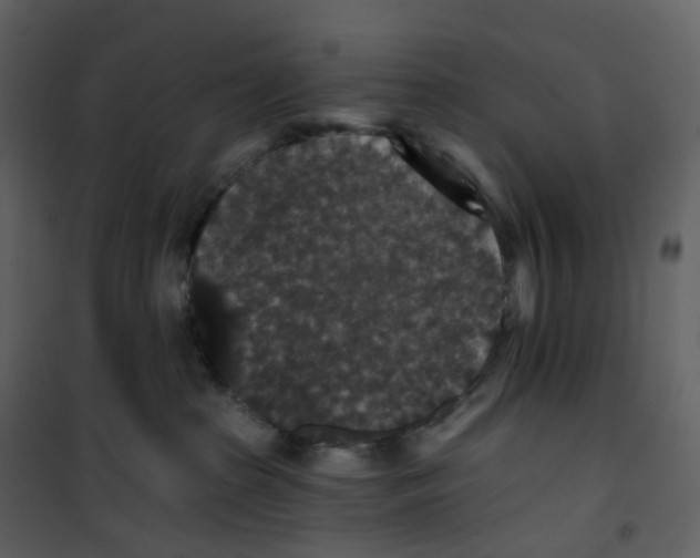 X0000100750285200807171419