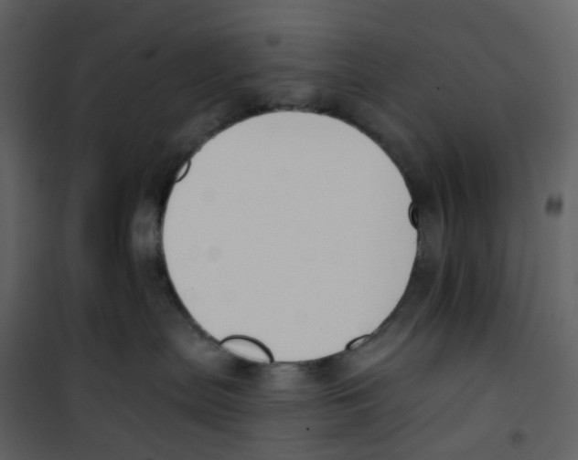X0000100750287200807171419