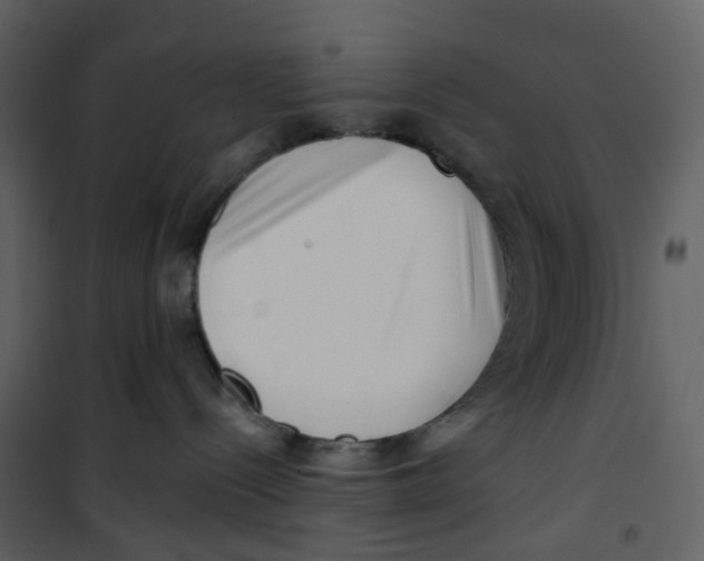 X0000100750288200807171419