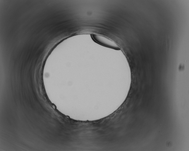 X0000100750289200807171418