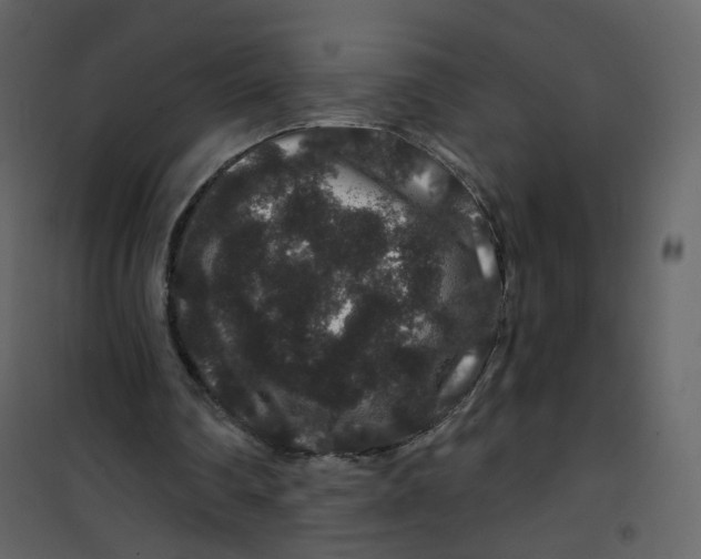 X0000100750290200807171418