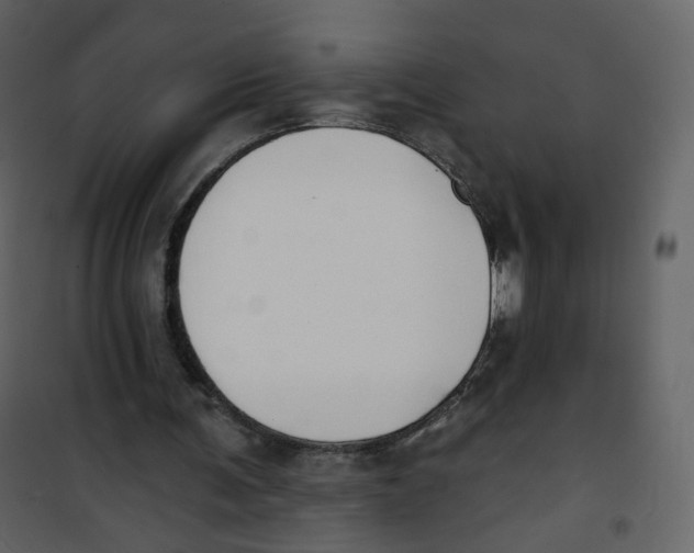 X0000100750291200807171418