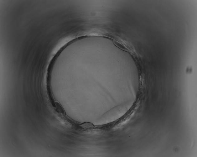 X0000100750292200807171418