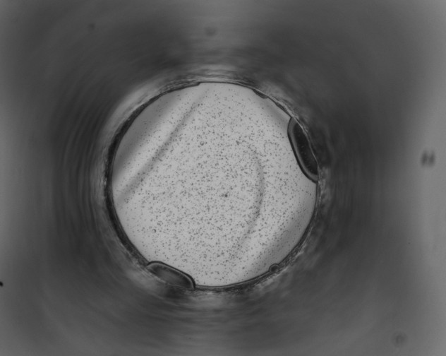 X0000100750293200807171418
