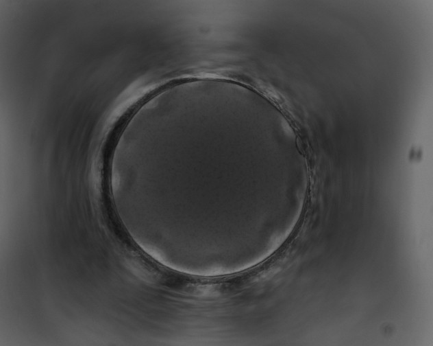 X0000100750295200807171418