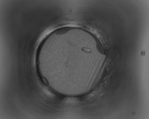 X0000100750296200807171418