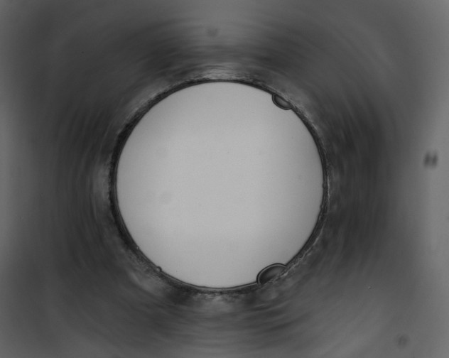 X0000100750297200807171418