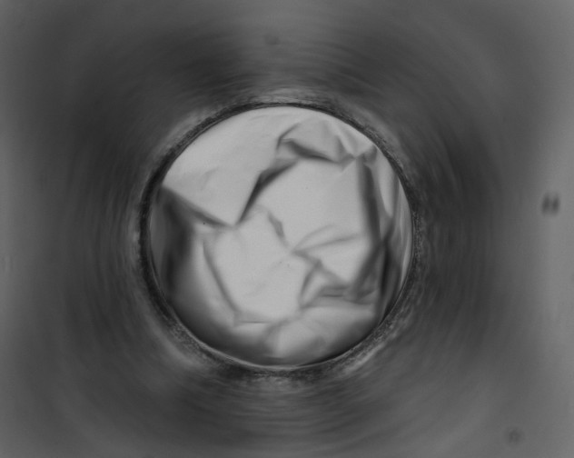 X0000100750298200807171418