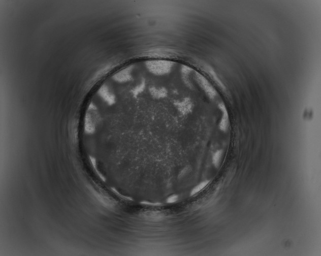 X0000100750299200807171418
