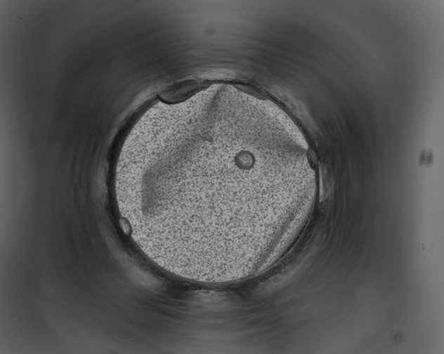 X0000100750300200807171418