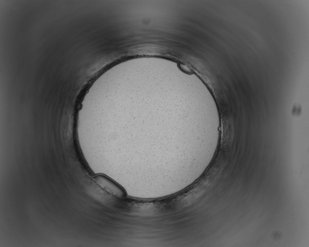 X0000100750301200807171418