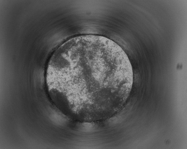X0000100750302200807171418