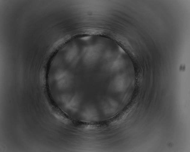 X0000100750303200807171418