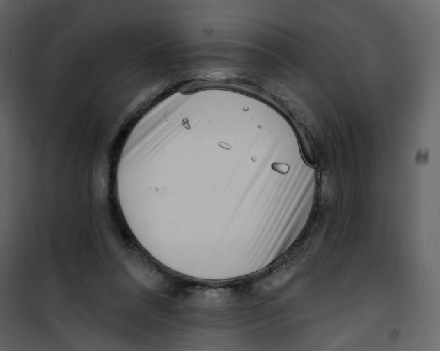 X0000100750304200807171418