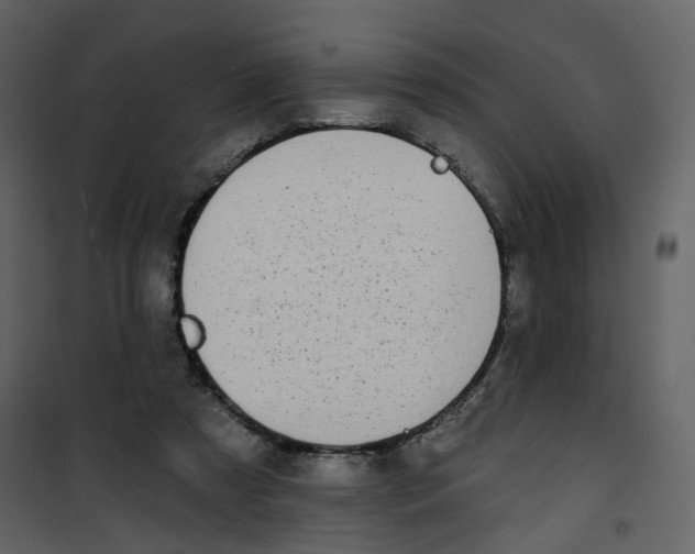 X0000100750305200807171418