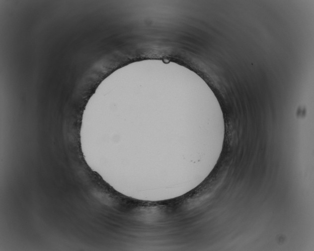 X0000100750307200807171418