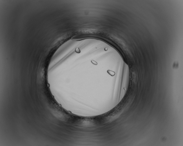 X0000100750308200807171418