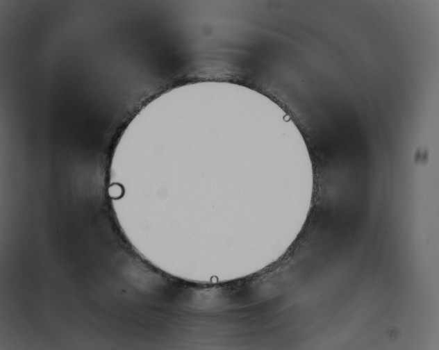 X0000100750309200807171418