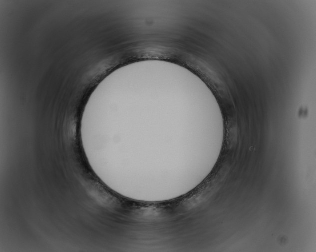 X0000100750310200807171418