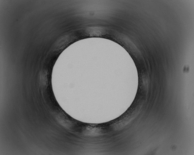 X0000100750311200807171418