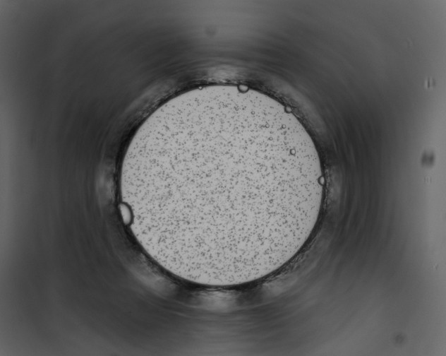 X0000100750313200807171418