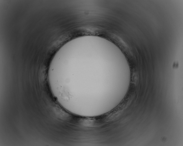 X0000100750318200807171418