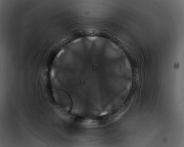 X0000100750319200807171418