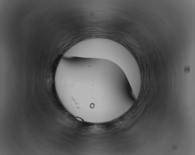 X0000100750320200807171418