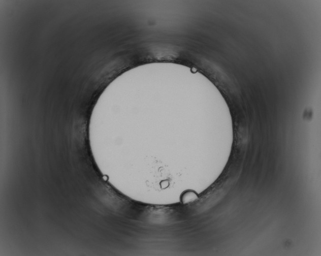 X0000100750321200807171418