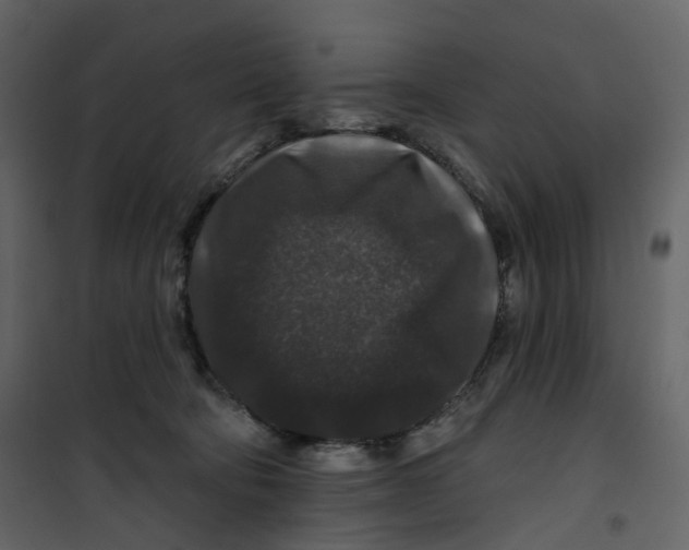 X0000100750322200807171418