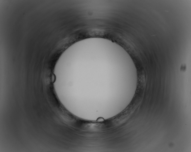 X0000100750323200807171418