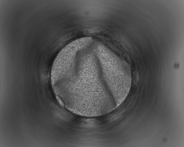 X0000100750324200807171418
