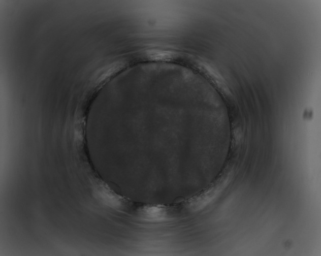 X0000100750325200807171418