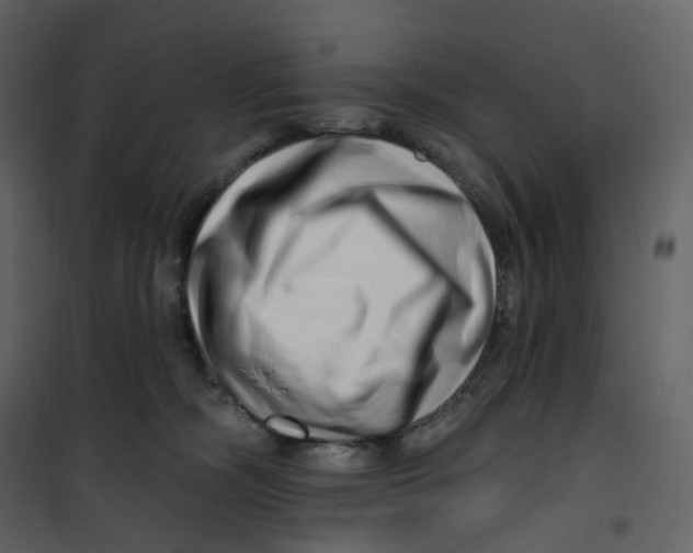 X0000100750326200807171418