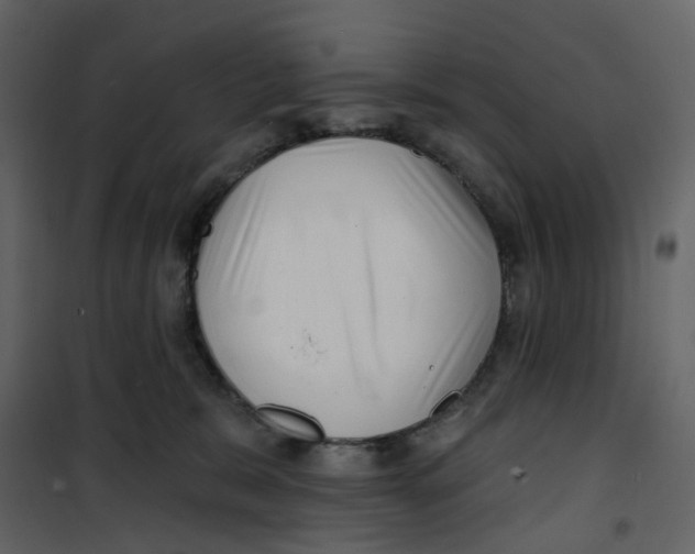 X0000100750327200807171418