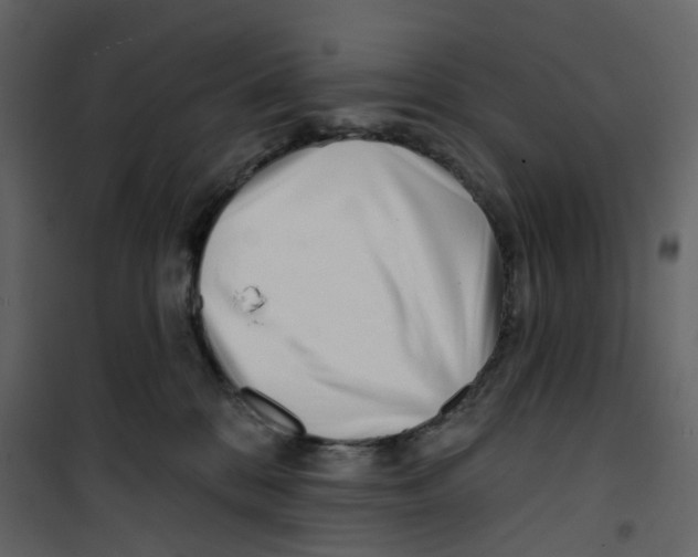 X0000100750328200807171418