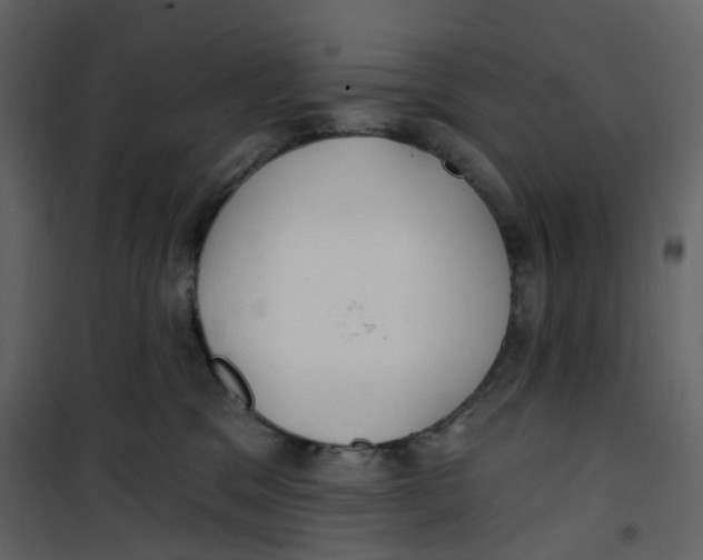 X0000100750329200807171418