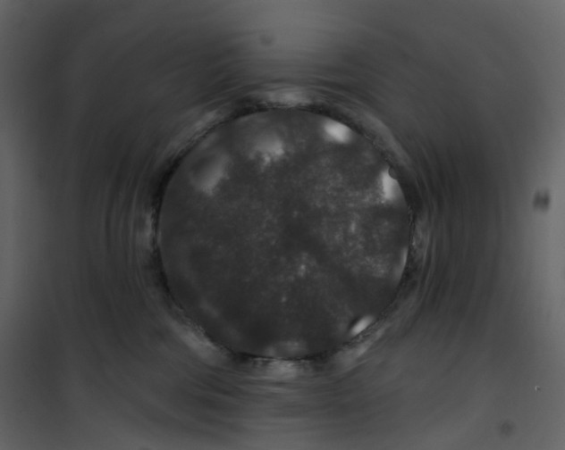 X0000100750330200807171418