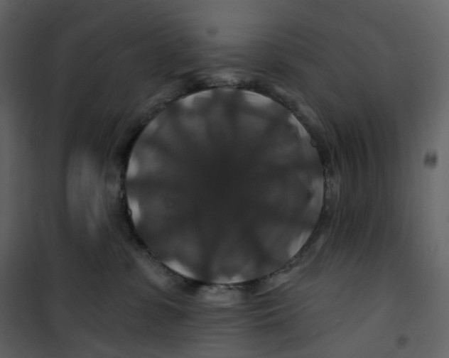 X0000100750331200807171418