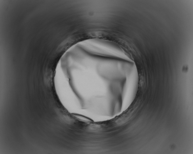 X0000100750332200807171418