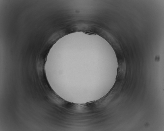 X0000100750333200807171418
